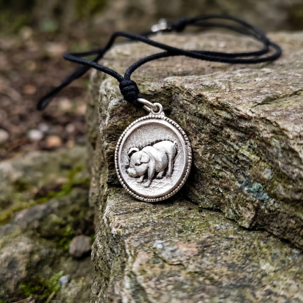 Chinese Zodiac Animal Amulets 92.5 Sterling Silver Necklace Pendant Jewelry
