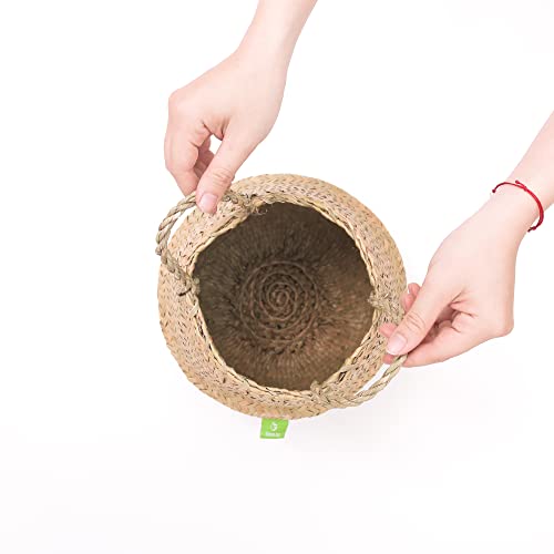 Greenjoy Natural Woven Basket for Storage - Set of 2 - Belly Basket- Plant Basket - Ideal Plant Pot, Laundry Basket, Picnic Basket for Home or Outdoor Use (S L, 2)
