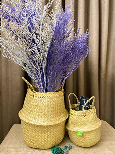 Greenjoy Natural Woven Basket for Storage - Set of 2 - Belly Basket- Plant Basket - Ideal Plant Pot, Laundry Basket, Picnic Basket for Home or Outdoor Use (S L, 2)