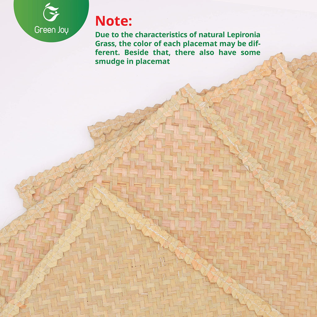 Green Joy Grass Placemats for Dining Table Waterproof - Rectangular Placemats β 12 x 17 Inches - Grass Placemats, Green Placemats, Placemat Set for Dining Table Kitchen Or Picnic Table Decor - Set of 4