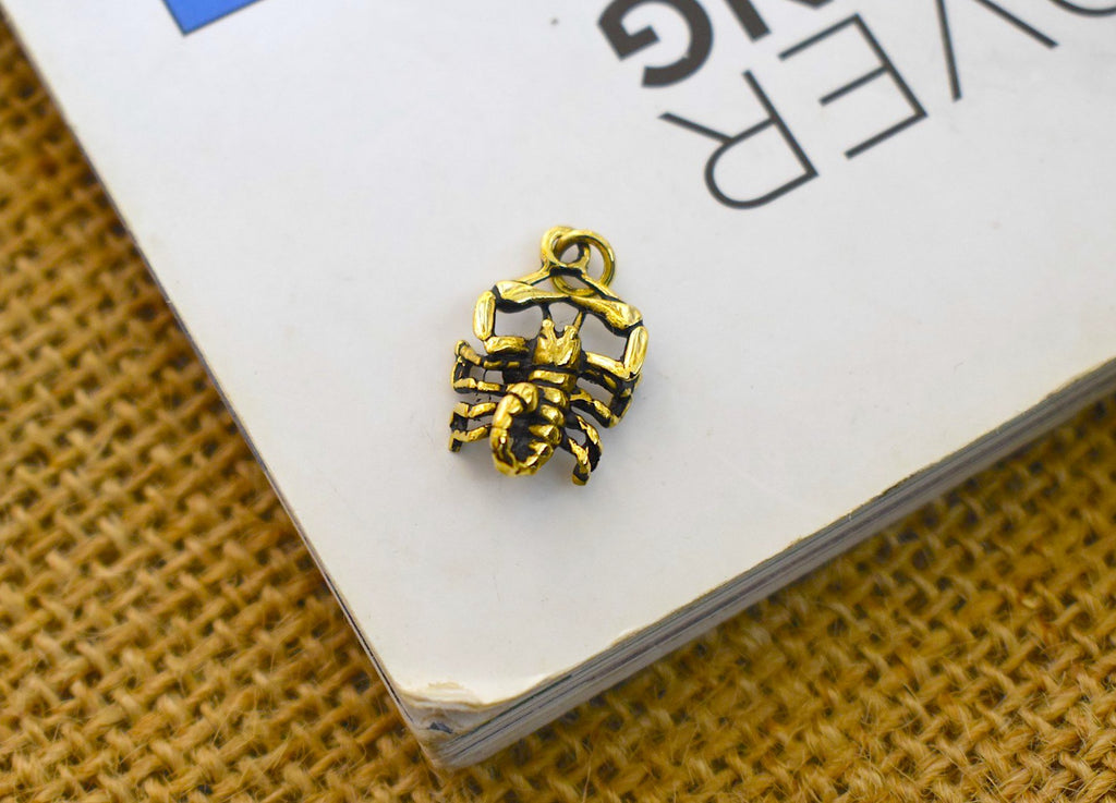 Astrology Gold Brass 92.5 Sterling Silver Charm Necklace Pendant Horoscope Zodiac