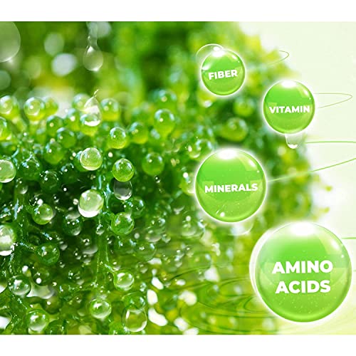 GREEN FOOD Sea Grapes - Dehydrated lato, Organic seaweed - Umibudo - Green caviar - Caulerpa lentillifera - Delicious Crunchy Healthy Freshness from the Ocean (3.53 OZ/100g of 5 packs), Whole